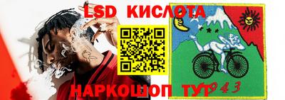СК Краснодар