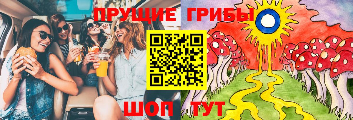 Псилоцибиновые грибы Psilocybe Среднеуральск